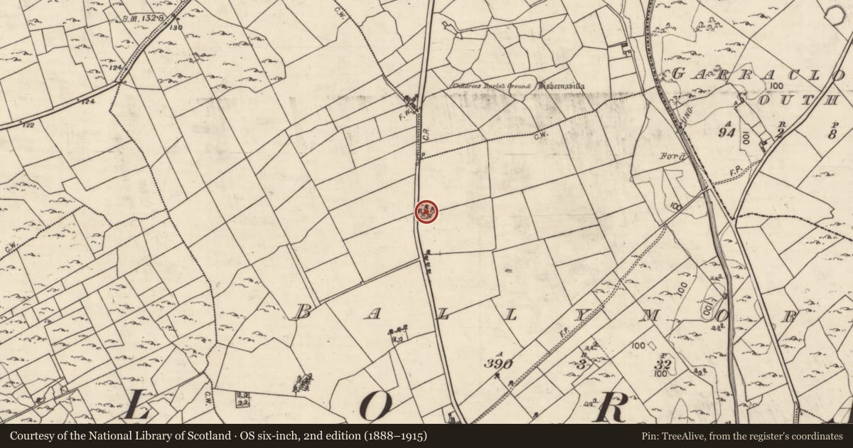 Ordnance Survey six-inch map, 2nd edition (1888–1915) covering the location of Ringfort - rath, Ballymore, County Galway, with a pin at the register's coordinates