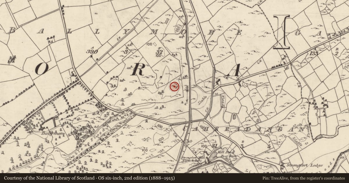 Ordnance Survey six-inch map, 2nd edition (1888–1915) covering the location of Ringfort - cashel, Ballymore, County Galway, with a pin at the register's coordinates