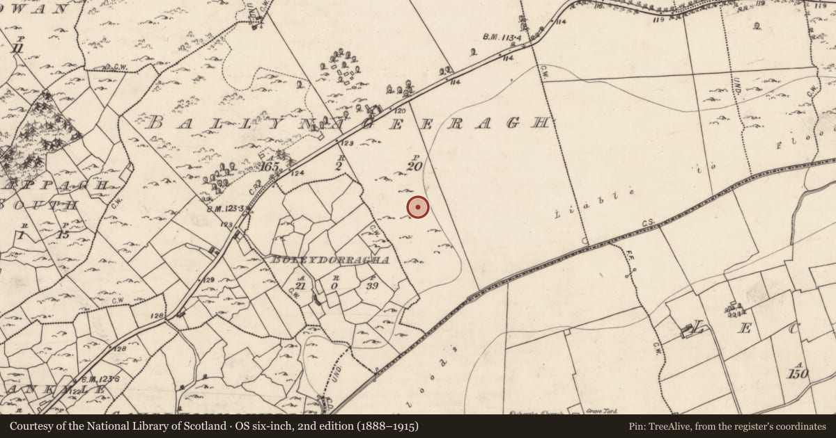 Ordnance Survey six-inch map, 2nd edition (1888–1915) covering the location of Cairn - clearance cairn, Ballynageeragh, County Galway, with a pin at the register's coordinates