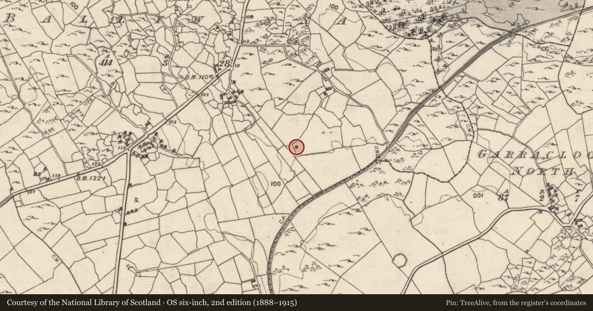 Ordnance Survey six-inch map, 2nd edition (1888–1915) covering the location of Children's burial ground, Ballywinna, County Galway, with a pin at the register's coordinates