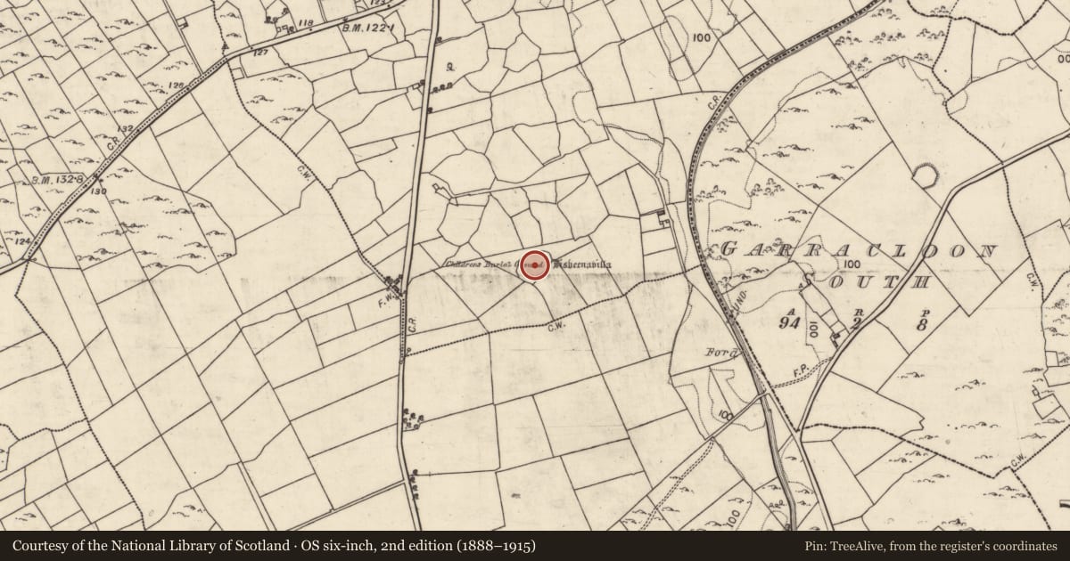 Ordnance Survey six-inch map, 2nd edition (1888–1915) covering the location of Children's burial ground, Ballywinna, County Galway, with a pin at the register's coordinates