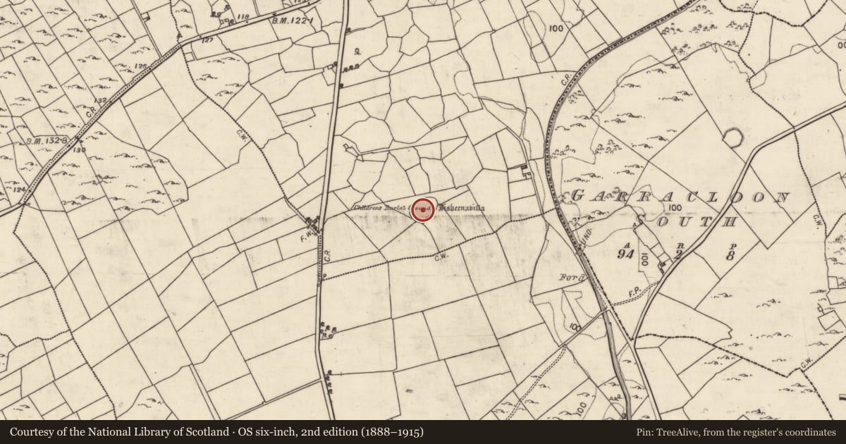 Ordnance Survey six-inch map, 2nd edition (1888–1915) covering the location of Souterrain, Ballywinna, County Galway, with a pin at the register's coordinates
