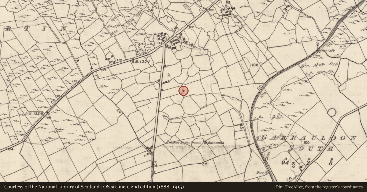 Ordnance Survey six-inch map, 2nd edition (1888–1915) covering the location of Ringfort - rath, Ballywinna, County Galway, with a pin at the register's coordinates