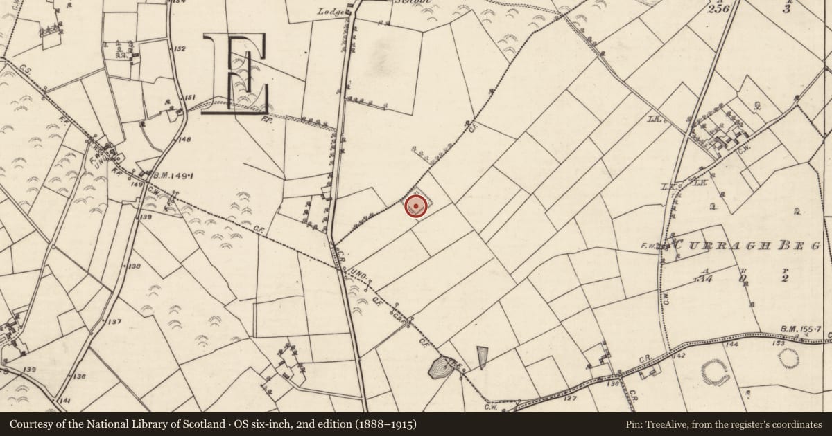 Ordnance Survey six-inch map, 2nd edition (1888–1915) covering the location of Moated site, Brusk, County Galway, with a pin at the register's coordinates
