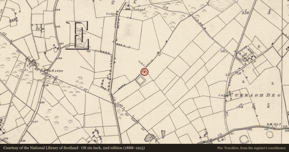 Ordnance Survey six-inch map, 2nd edition (1888–1915) covering the location of Fulacht fia, Brusk, County Galway, with a pin at the register's coordinates
