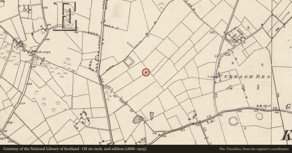 Ordnance Survey six-inch map, 2nd edition (1888–1915) covering the location of Fulacht fia, Brusk, County Galway, with a pin at the register's coordinates