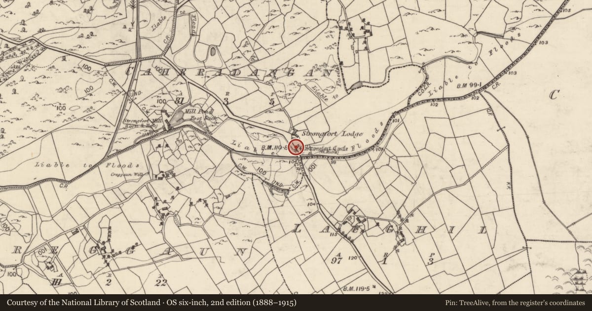 Ordnance Survey six-inch map, 2nd edition (1888–1915) covering the location of Castle - tower house, Caheradangan, County Galway, with a pin at the register's coordinates