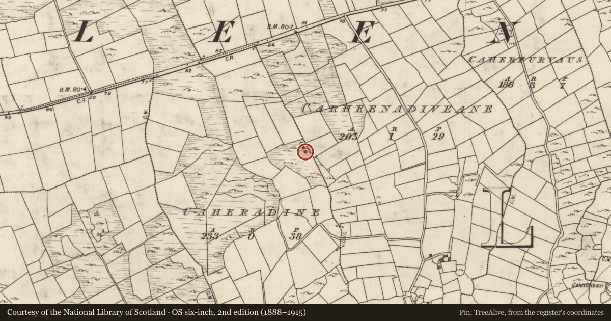 Ordnance Survey six-inch map, 2nd edition (1888–1915) covering the location of Ringfort - rath, Caheradine, Carheenadiveane, County Galway, with a pin at the register's coordinates