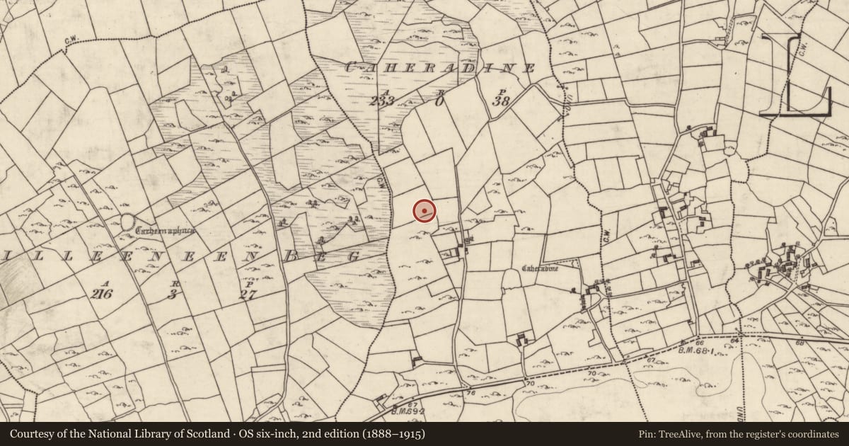 Ordnance Survey six-inch map, 2nd edition (1888–1915) covering the location of Ringfort - cashel, Caheradine, County Galway, with a pin at the register's coordinates