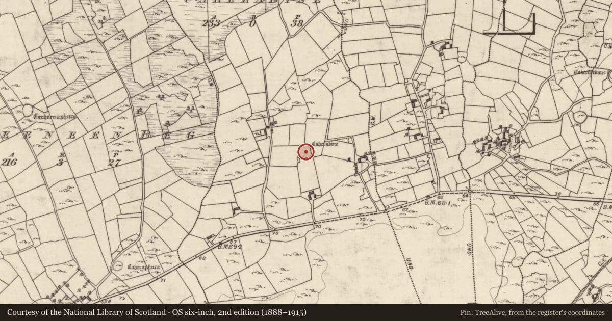 Ordnance Survey six-inch map, 2nd edition (1888–1915) covering the location of Souterrain, Caheradine, County Galway, with a pin at the register's coordinates