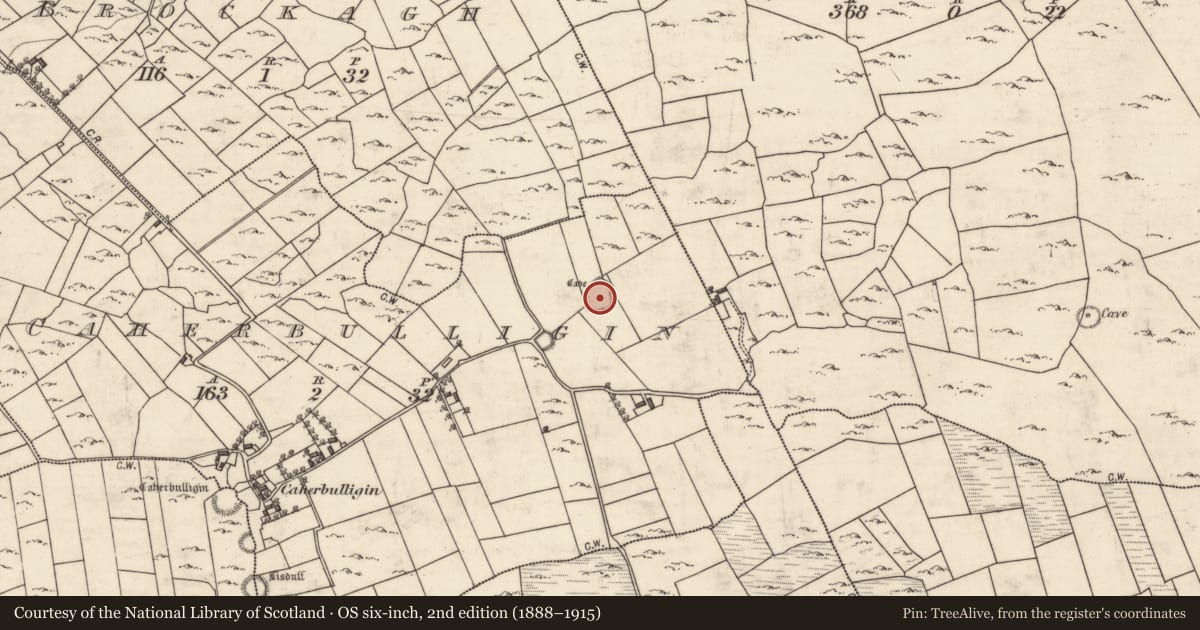 Ordnance Survey six-inch map, 2nd edition (1888–1915) covering the location of Ringfort - cashel, Caherbulligin, County Galway, with a pin at the register's coordinates