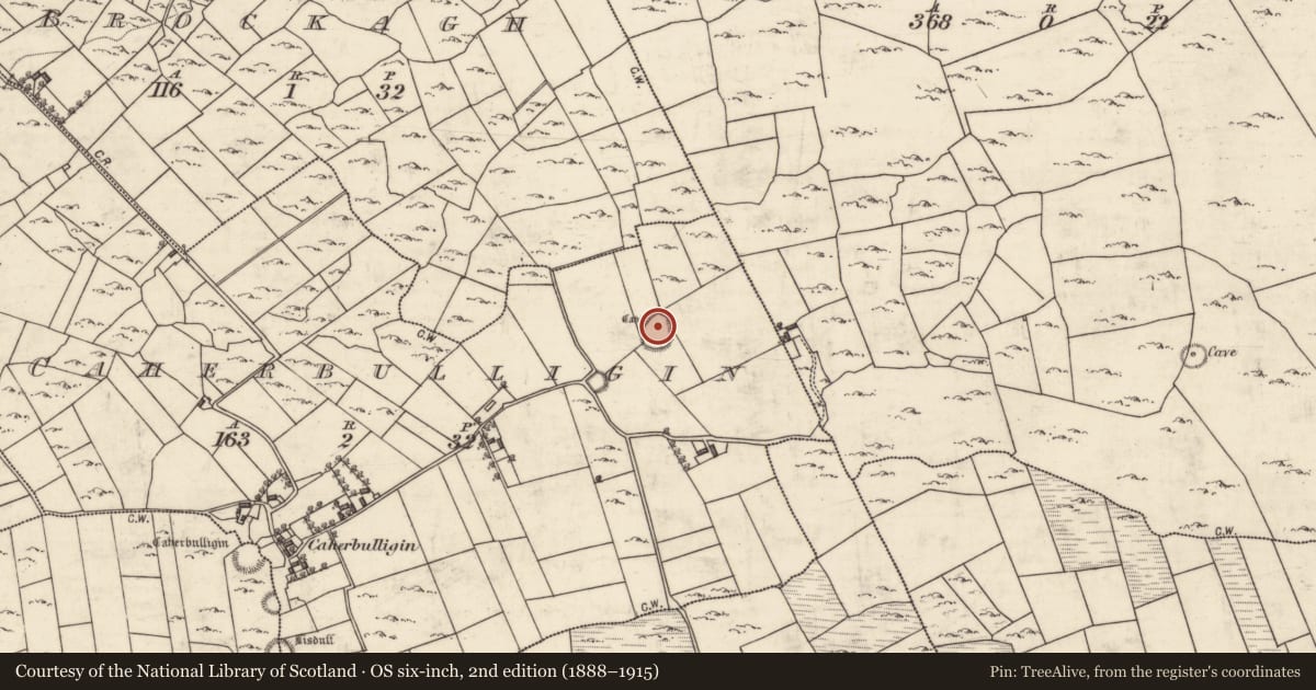 Ordnance Survey six-inch map, 2nd edition (1888–1915) covering the location of Souterrain, Caherbulligin, County Galway, with a pin at the register's coordinates