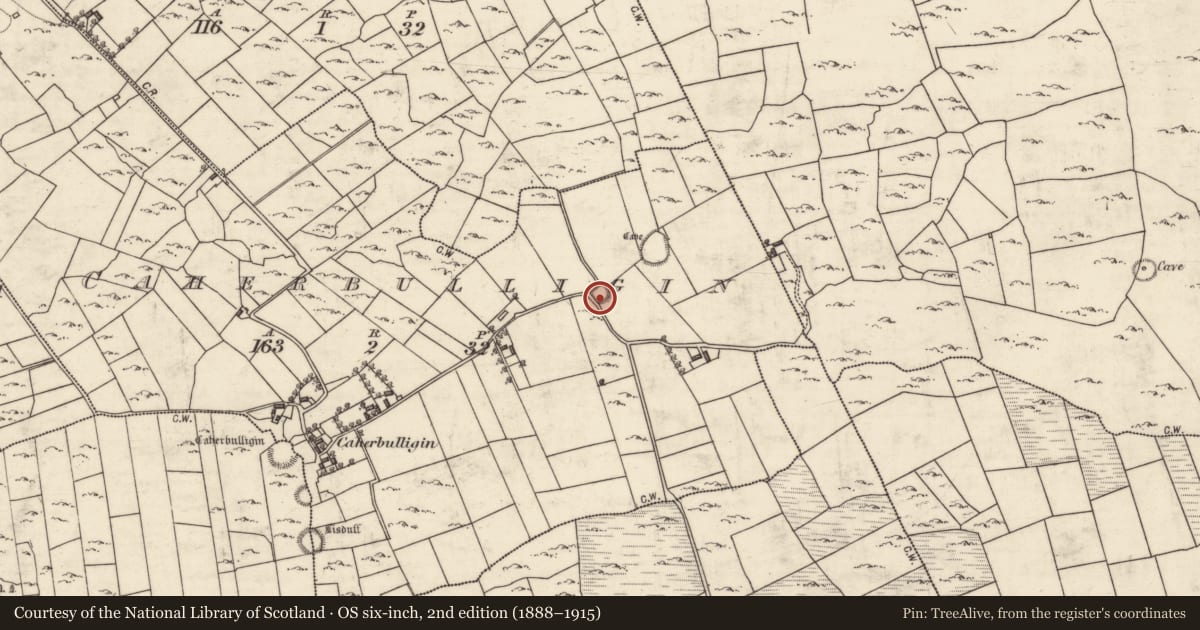 Ordnance Survey six-inch map, 2nd edition (1888–1915) covering the location of Ringfort - rath, Caherbulligin, County Galway, with a pin at the register's coordinates