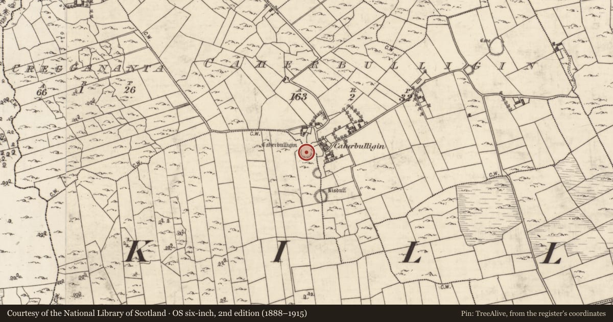 Ordnance Survey six-inch map, 2nd edition (1888–1915) covering the location of Ringfort - cashel, Caherbulligin, Killeeneen More, County Galway, with a pin at the register's coordinates