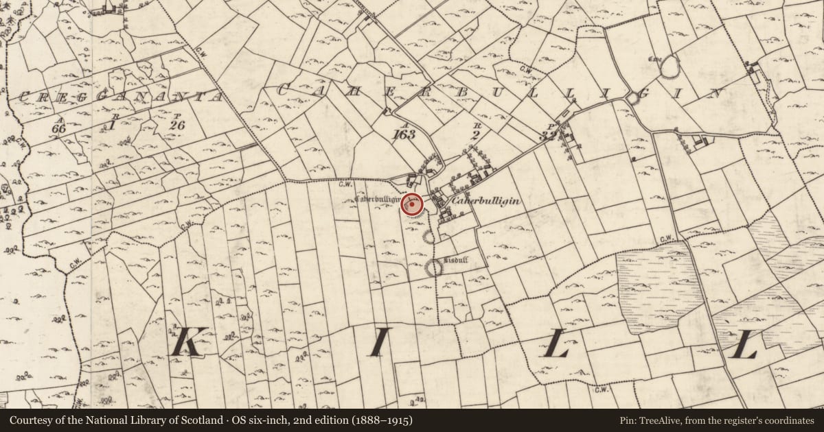 Ordnance Survey six-inch map, 2nd edition (1888–1915) covering the location of Souterrain, Caherbulligin, Killeeneen More, County Galway, with a pin at the register's coordinates