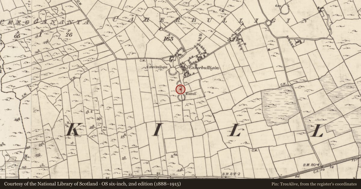 Ordnance Survey six-inch map, 2nd edition (1888–1915) covering the location of Ringfort - cashel, Caherbulligin, Killeeneen More, County Galway, with a pin at the register's coordinates