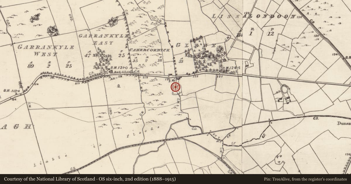 Ordnance Survey six-inch map, 2nd edition (1888–1915) covering the location of Ringfort - rath, Cahercormick, Glebe, County Galway, with a pin at the register's coordinates