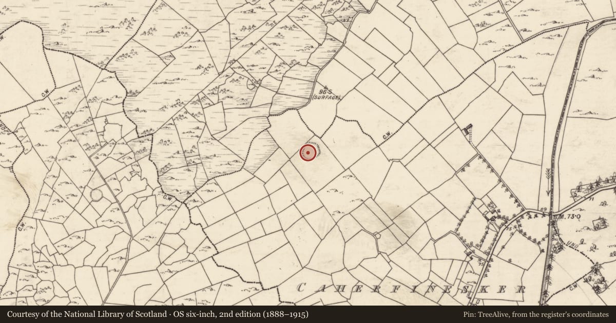 Ordnance Survey six-inch map, 2nd edition (1888–1915) covering the location of Ringfort - cashel, Caherfinesker, County Galway, with a pin at the register's coordinates