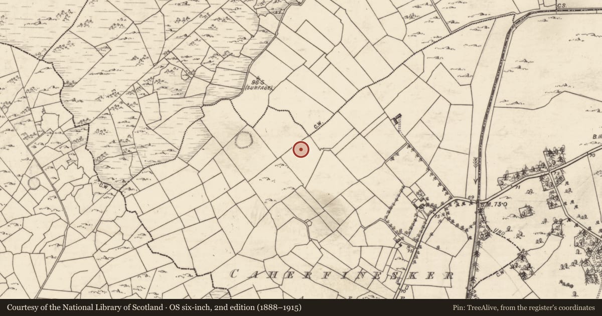 Ordnance Survey six-inch map, 2nd edition (1888–1915) covering the location of Ringfort - cashel, Caherfinesker, County Galway, with a pin at the register's coordinates