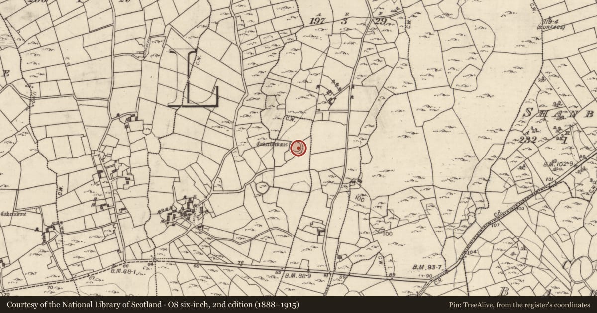 Ordnance Survey six-inch map, 2nd edition (1888–1915) covering the location of Ringfort - cashel, Caherfurvaus, County Galway, with a pin at the register's coordinates