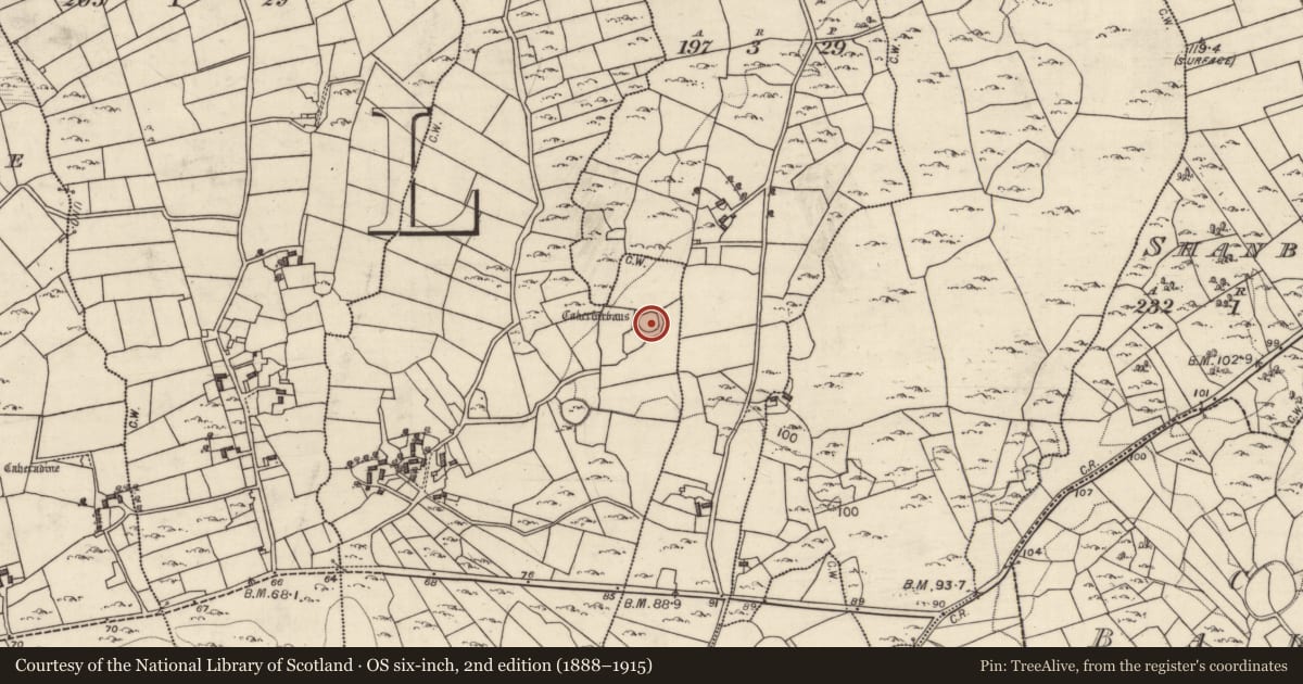 Ordnance Survey six-inch map, 2nd edition (1888–1915) covering the location of Souterrain, Caherfurvaus, County Galway, with a pin at the register's coordinates