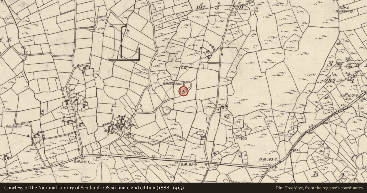 Ordnance Survey six-inch map, 2nd edition (1888–1915) covering the location of Enclosure, Caherfurvaus, County Galway, with a pin at the register's coordinates
