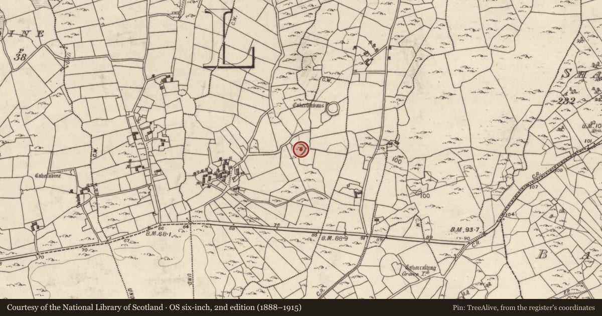 Ordnance Survey six-inch map, 2nd edition (1888–1915) covering the location of Souterrain, Caherfurvaus, County Galway, with a pin at the register's coordinates