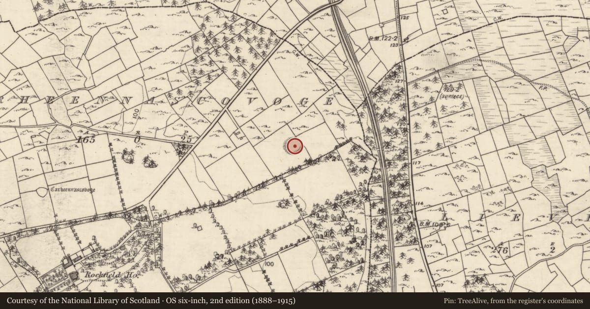 Ordnance Survey six-inch map, 2nd edition (1888–1915) covering the location of Ringfort - cashel, Carheennascovoge, County Galway, with a pin at the register's coordinates