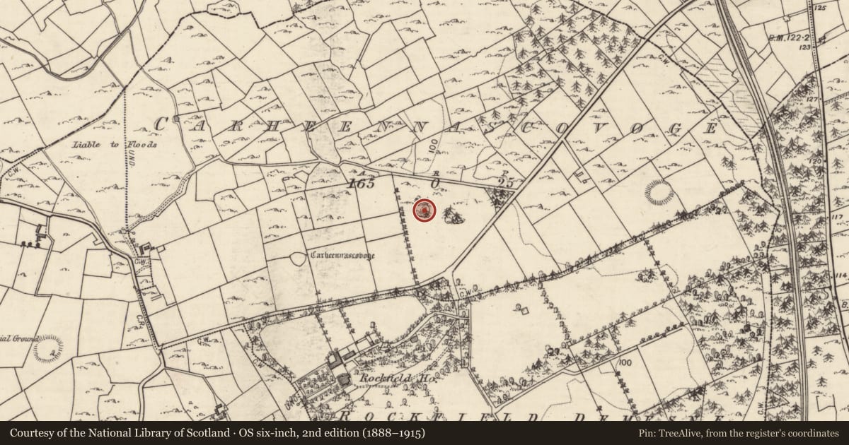 Ordnance Survey six-inch map, 2nd edition (1888–1915) covering the location of Designed landscape feature, Carheennascovoge, County Galway, with a pin at the register's coordinates