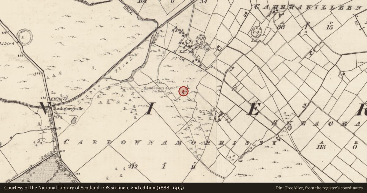 Ordnance Survey six-inch map, 2nd edition (1888–1915) covering the location of Castle - unclassified, Carrownamorrissy, County Galway, with a pin at the register's coordinates