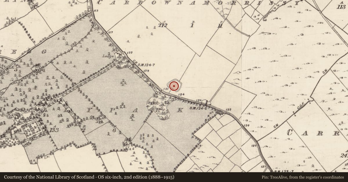 Ordnance Survey six-inch map, 2nd edition (1888–1915) covering the location of Ringfort - cashel, Carrownamorrissy, County Galway, with a pin at the register's coordinates