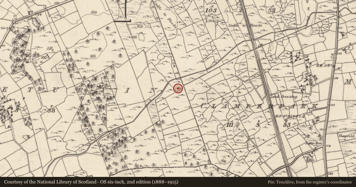 Ordnance Survey six-inch map, 2nd edition (1888–1915) covering the location of Ringfort - cashel, Castleturvin, County Galway, with a pin at the register's coordinates