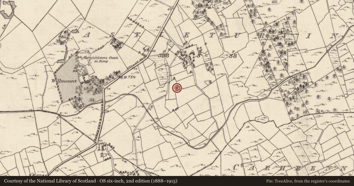 Ordnance Survey six-inch map, 2nd edition (1888–1915) covering the location of Ringfort - cashel, Castleturvin, County Galway, with a pin at the register's coordinates