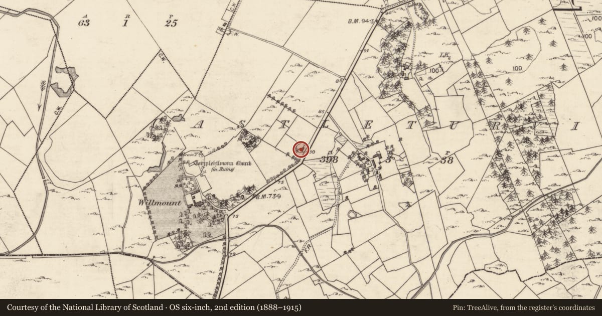 Ordnance Survey six-inch map, 2nd edition (1888–1915) covering the location of Ringfort - cashel, Castleturvin, County Galway, with a pin at the register's coordinates