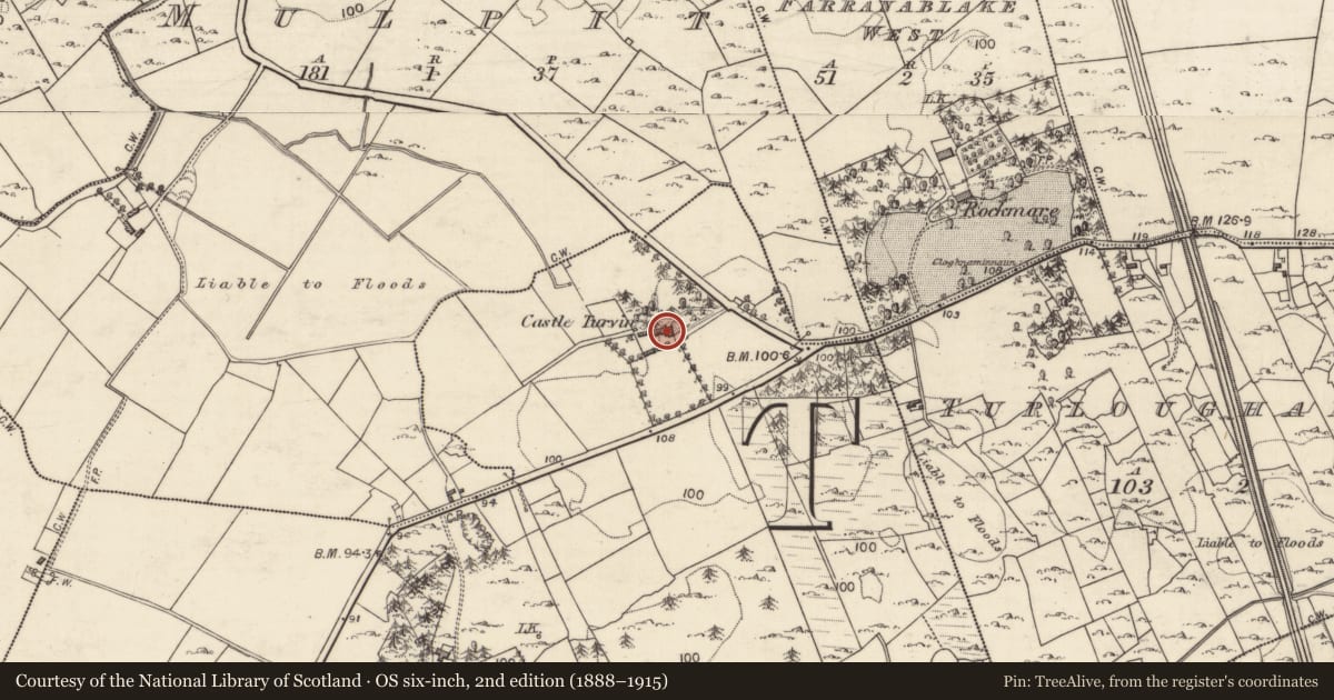 Ordnance Survey six-inch map, 2nd edition (1888–1915) covering the location of House - 18th/19th century, Castleturvin, County Galway, with a pin at the register's coordinates