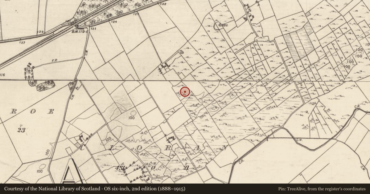 Ordnance Survey six-inch map, 2nd edition (1888–1915) covering the location of Souterrain, Cloran, County Galway, with a pin at the register's coordinates