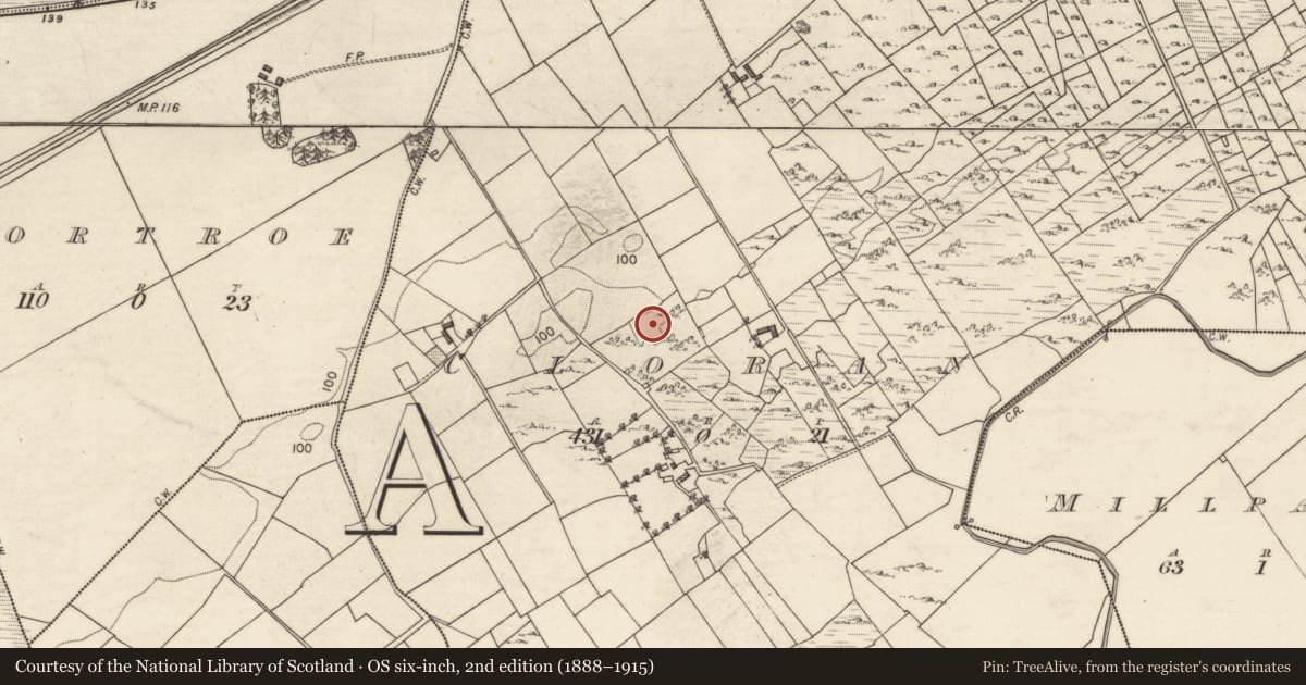 Ordnance Survey six-inch map, 2nd edition (1888–1915) covering the location of Enclosure, Cloran, County Galway, with a pin at the register's coordinates