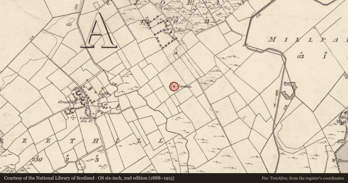 Ordnance Survey six-inch map, 2nd edition (1888–1915) covering the location of Ringfort - cashel, Cloran, County Galway, with a pin at the register's coordinates