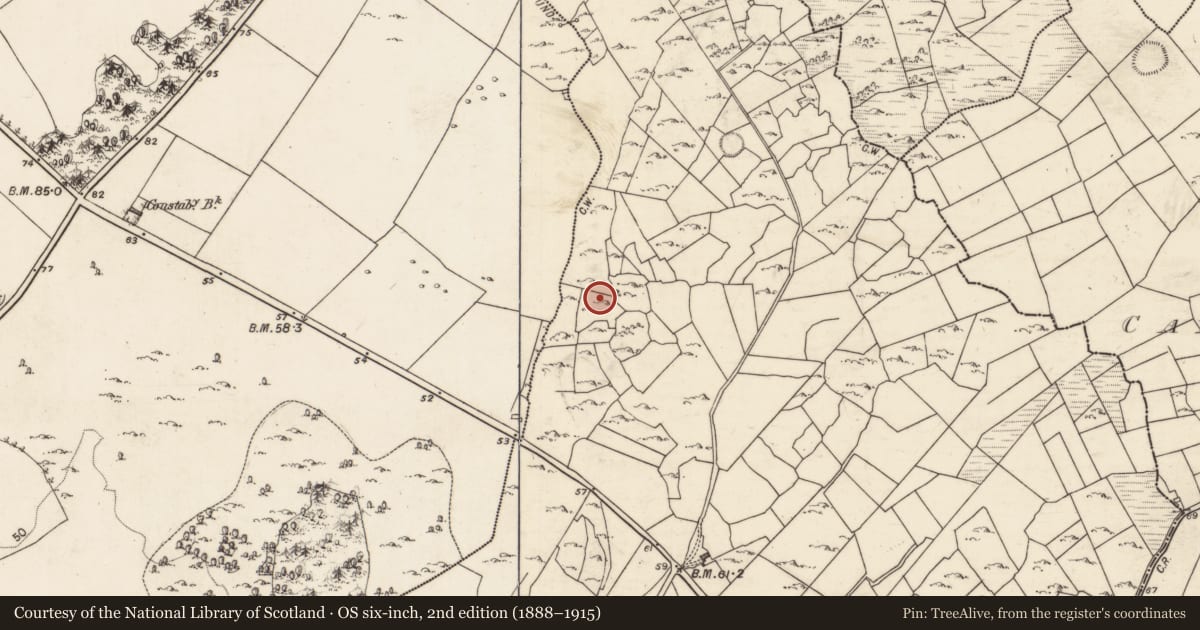 Ordnance Survey six-inch map, 2nd edition (1888–1915) covering the location of Ringfort - cashel, Coldwood Or Foorkill, County Galway, with a pin at the register's coordinates