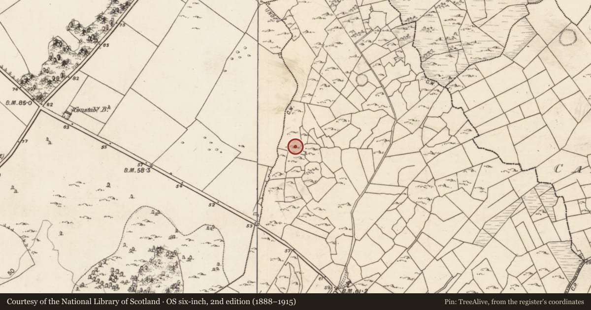 Ordnance Survey six-inch map, 2nd edition (1888–1915) covering the location of Souterrain, Coldwood Or Foorkill, County Galway, with a pin at the register's coordinates