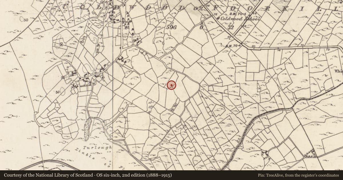 Ordnance Survey six-inch map, 2nd edition (1888–1915) covering the location of Ringfort - cashel, Coldwood Or Foorkill, County Galway, with a pin at the register's coordinates