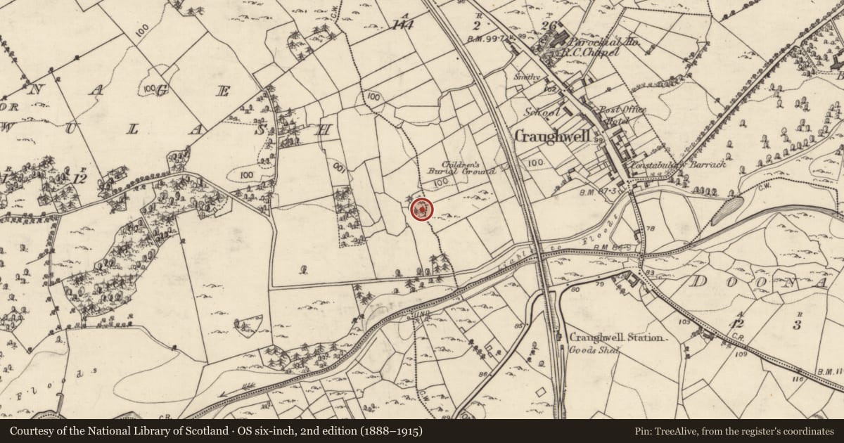 Ordnance Survey six-inch map, 2nd edition (1888–1915) covering the location of Ringfort - cashel, Craughwell, Crinnage Or Ballywulash, County Galway, with a pin at the register's coordinates