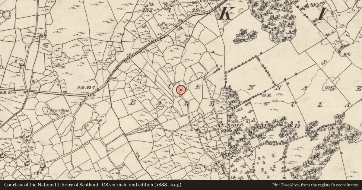 Ordnance Survey six-inch map, 2nd edition (1888–1915) covering the location of Ringfort - cashel, Crinnage Or Ballywulash, County Galway, with a pin at the register's coordinates