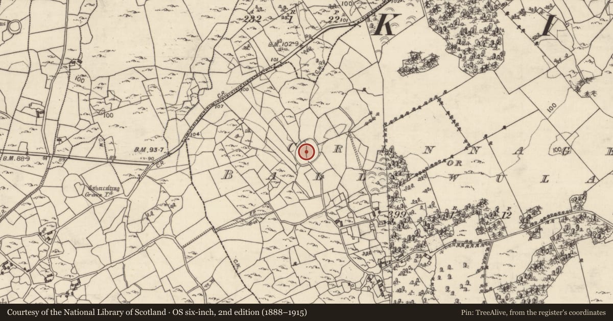 Ordnance Survey six-inch map, 2nd edition (1888–1915) covering the location of Souterrain, Crinnage Or Ballywulash, County Galway, with a pin at the register's coordinates