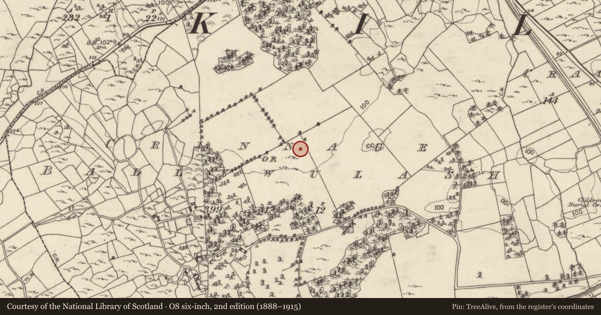 Ordnance Survey six-inch map, 2nd edition (1888–1915) covering the location of Souterrain, Crinnage Or Ballywulash, County Galway, with a pin at the register's coordinates