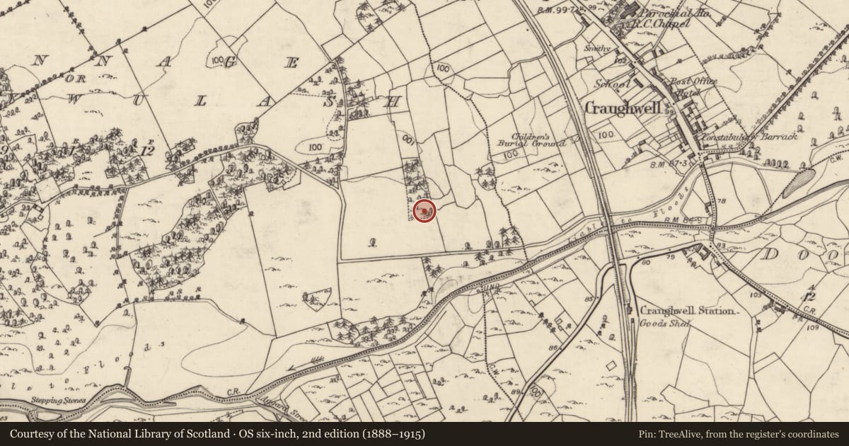Ordnance Survey six-inch map, 2nd edition (1888–1915) covering the location of Ringfort - unclassified, Crinnage Or Ballywulash, County Galway, with a pin at the register's coordinates