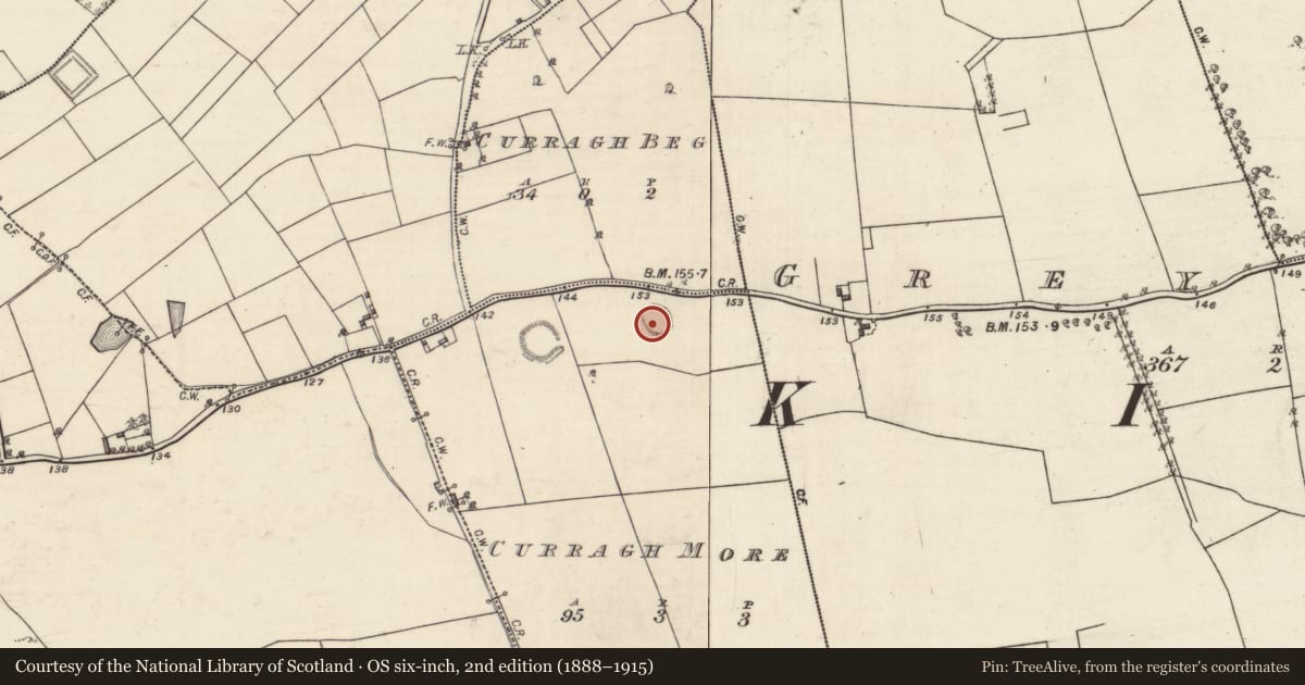 Ordnance Survey six-inch map, 2nd edition (1888–1915) covering the location of Ringfort - rath, Curragh More, County Galway, with a pin at the register's coordinates