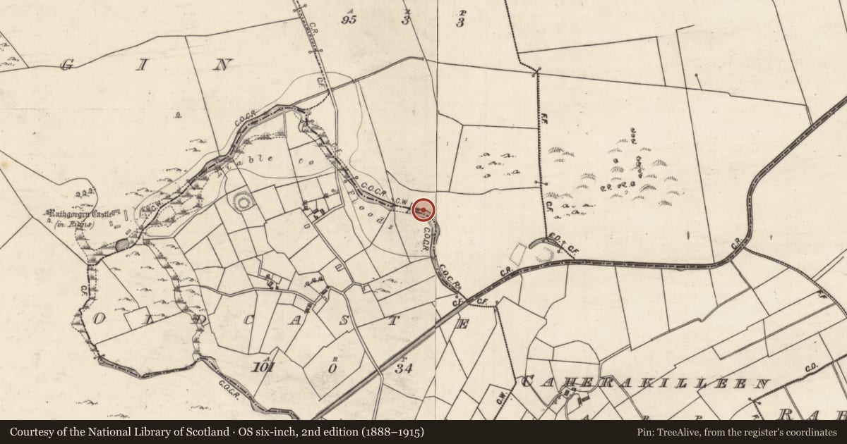 Ordnance Survey six-inch map, 2nd edition (1888–1915) covering the location of Fulacht fia, Curragh More, County Galway, with a pin at the register's coordinates