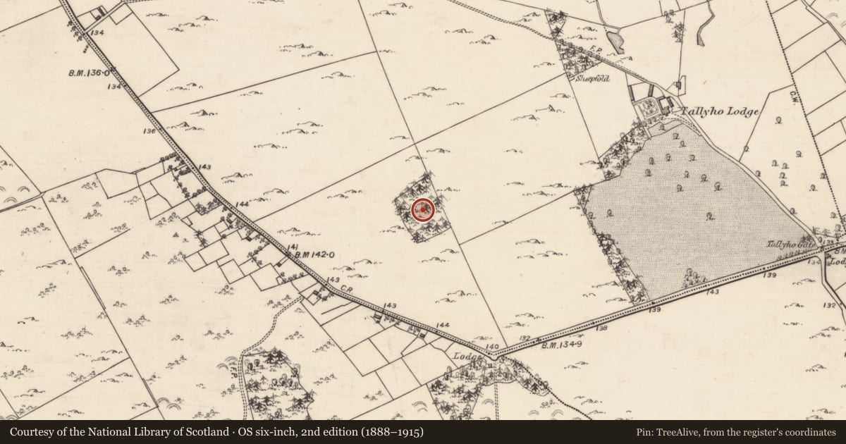 Ordnance Survey six-inch map, 2nd edition (1888–1915) covering the location of Designed landscape feature, Deerpark, County Galway, with a pin at the register's coordinates