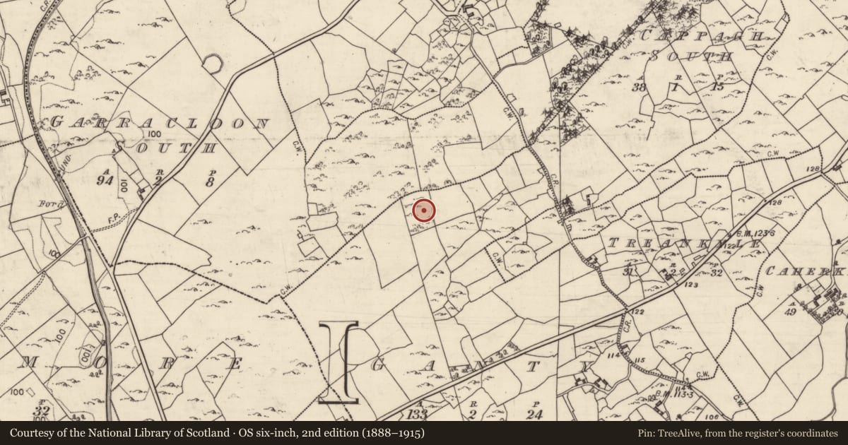 Ordnance Survey six-inch map, 2nd edition (1888–1915) covering the location of Souterrain, Ganty, County Galway, with a pin at the register's coordinates